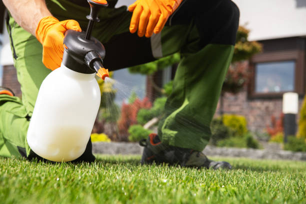 Pest Control for Hotels in Amery, WI